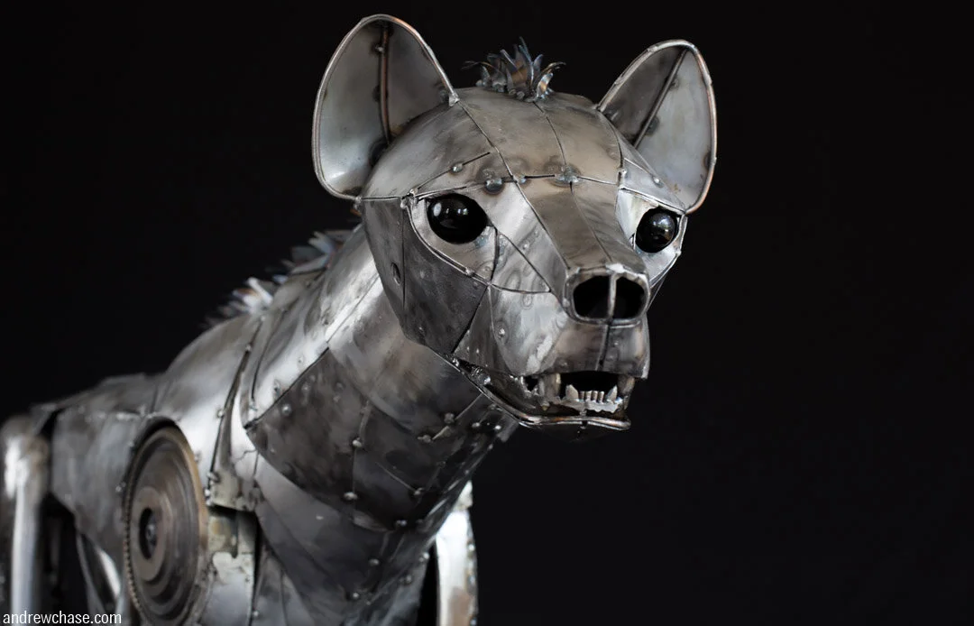 Hyena — Andrew Chase